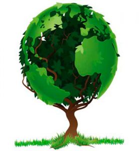 Día Mundial de Medio Ambiente