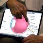 Infografía del interior del ojo